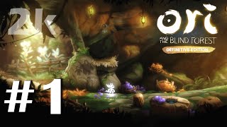 Ori and the Blind Forest: DE #1 สู่ป่าดับสลาย ส่องแสง!  2K60FPS