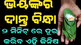 ମାତ୍ର 2 ମିନିଟ୍ ରେ ଦାନ୍ତ ବିନ୍ଧା ଭଲ କରିବ ଏହି ଗୋଟେ ଜିନିଷ Teeth Pain will go away in 2 minutes