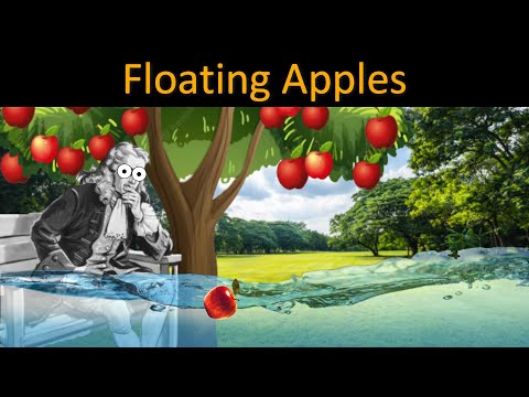Why is an apple less dense than water?