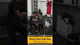 Wing Chun Application - Pak Sau