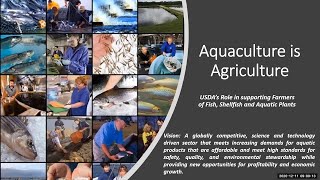 What U.S. Aquaculture Needs from USDA: Finfish