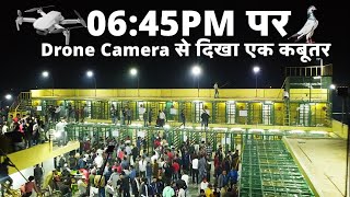 6:45 PM - Drone Camera से दिखा एक कबूतर