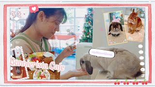 Vlog 1Day @Bunnierista เที่ยวคาเฟ่กระต่ายแถวย่านประชาชื่นสุดน่ารัก!!🐰