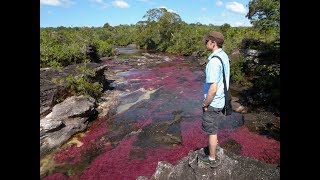 Travel to Caño Cristales Sierra de la Macarena, visit discover tourist destinations Colombia