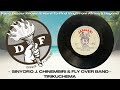 Sinyoro J. Chinembiri & Fly Over Band - Tirikuchema