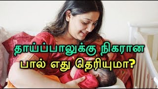 தாய்ப்பாலுக்கு நிகரான பால் எது தெரியுமா?