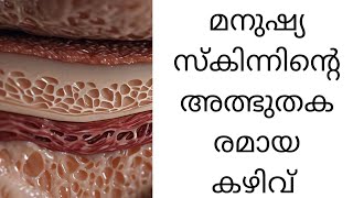 ഏറ്റവും മികച്ച രോഗപ്രതിരോധ സംവിധാനം