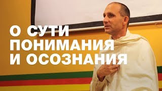 Чем отличается понимание от видения?