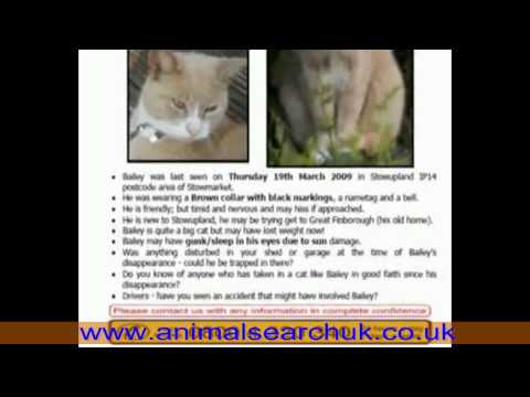 Missing pet? Expert help to trace your pet. Missing pet? Expert help to trace your pet.