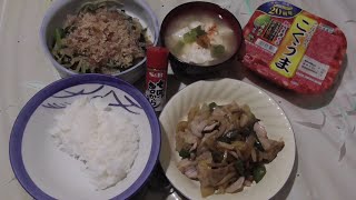 豚肉の炒め物+豆腐の味噌汁 : cook250129yoru