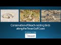 Wildlife Diversity Webinar | Conservation of Beach-nesting Birds