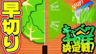 キャベツ千切王決定戦！？キャベツの早切りやってみた！実況プレイ