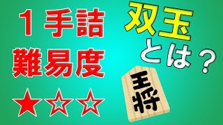 【初心者向け将棋教室】 毎日詰将棋 #45 双玉問題！！