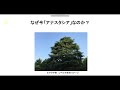 なぜ今「アナスタシア」なのか？1 1第1巻アナスタシア