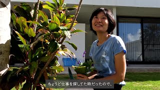 父島みらい会議プロジェクト ～小笠原で働き、生活して、生きていく～【日本語版】