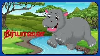 காட்டு விலங்குகள் | Learn Wild Animals video in Tamil | kids video| Wild animals name in tamil |