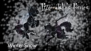 Przewalski's Ponies feat. Velvet R. Wings - Winter Snow