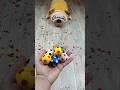 Dog Beads 📿 Balls ⚽ Reverse Video #cat #reversevideo