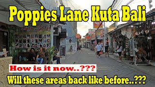 Mxtube.net :: balinese-cat-meowing Mp4 3GP Video & Mp3 Download ...