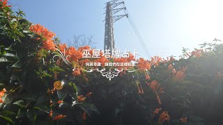 桃花診聊．單身限定｜一週桃花運勢❓｜ 3/30－4/5｜巫屋塔牌．桃花占卜