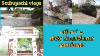 Fish catching video|பரி கட்டி மீன் பிடித்தல்|pari fishing|அனணக்கருப்பசாமி கோவில்|Great Tamil TV