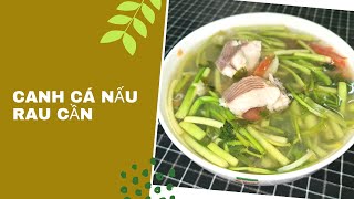 CÁCH NẤU CANH CÁ VỚI RAU CẦN THƠM NGON TUYỆT ĐỈNH