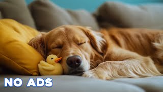 12 Hours Calming Dog Music🎵 Soothing Sleep Music for Dogs 🐶Anti Anxiety💖Relaxation