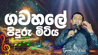 ගව හලේ පිදුරු මිටිය - 🎶🎵