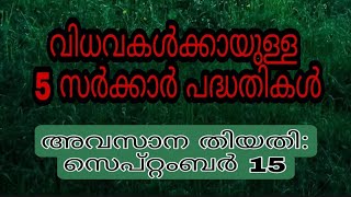 വിധവകള്‍ക്കായി 5 സര്‍ക്കാര്‍ പദ്ധതികള്‍ |Abhayakiranam|mangalya|Sahayahastham|Padavukal|Etc