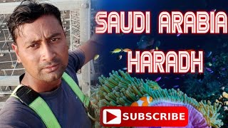 SAUDI ARABIA || HARADH