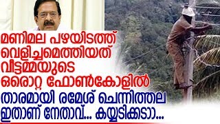 ചെന്നിത്തലയെ ഫോണില്‍ വിളിച്ച വീട്ടമ്മ ഒരു ഗ്രാമത്തില്‍ കറണ്ട് എത്തിച്ചതിങ്ങനെ l kseb