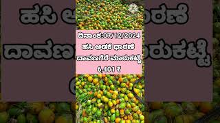 ಹಸಿ ಅಡಕೆ ಬೆಲೆ ದಾವಣಗೆರೆ ಮಾರುಕಟ್ಟೆ ಬೆಲೆ/07/12/2024