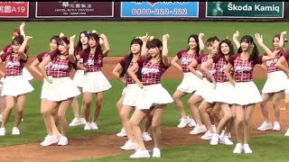 螢幕太小裝不下32個又辣又酷又甜的Rakuten Girls～辣酷甜趴賽前舞2023全新單曲”Ready go”～台湾チア、2023/1008