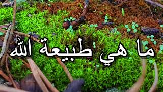 ما هي طبيعة الله؟ (سؤال من الأنجيل المقدس)