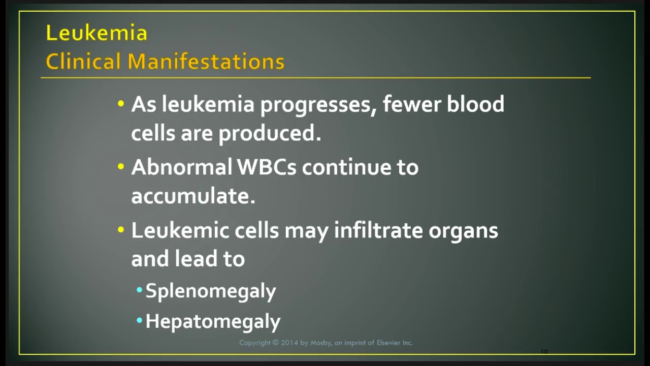 Leukemia, Lymphoma, And Multiple Myeloma - YouTube