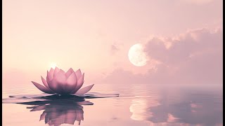 Full Moon Lotus Meditation 【888Hz】Unlock Inner Peace \u0026 Abundance 月光下的靜心蓮花 【最強吸引力法則】解鎖你的靈性與豐盛財富能量