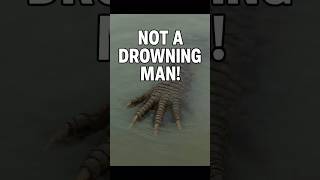 This “Drowning” Person Might Be a Crocodile… 🐊😨 #shorts