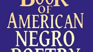 The Book of American Negro Poetry by James Weldon JOHNSON read by Various | Full Audio Book