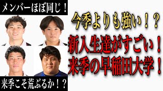 【今期よりも強い！？】来季の早稲田大学の展望【予想スタメン】#大学ラグビー