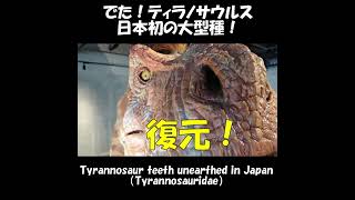 日本初！ティラノサウルス大型種 Tyrannosaur teeth unearthed in Japan #Shorts ≫ 加藤英明【公式】かとチャン