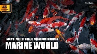 India's  Largest Public Aquarium | MARINE WORLD | Kerala | 4K | travelenze