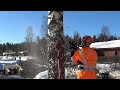 cet espace est trop petit pour que ces arbres puissent y tomber