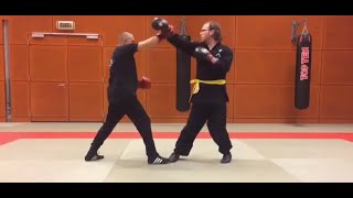 Sibpalki fist method: a basic sparring form