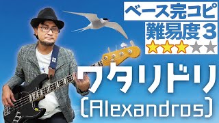 ワタリドリ［Alexandros］プロベーシストが完コピしてみた(Bass ベース 弾いてみた アレキサンドロス ベース教室 レッスン 演奏してみた 耳コピ)