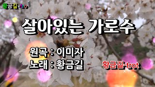 살아있는 가로수 - 황금길 Cover  (원곡 /이미자)영상가사