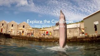 Explore the Caribbean with Norwegian Cruise Line