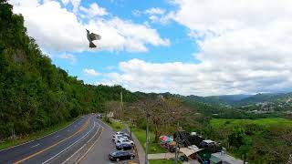 Amazing Fpv Shot At Paseo Lineal Juan Antonio Corretjer, Ciales, Puerto Rico