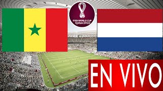 Senegal vs. Países Bajos en vivo, donde ver, a que hora juega Senegal vs. Países Bajos Mundial 2022