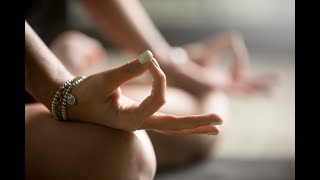 Prana Mudra - Yoga and Healthy Lifestyle