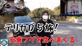 【デリカD5】で行く釣りの前の腹ごしらえ？またまた来ました。安乗フグ【まるせい】さんです！